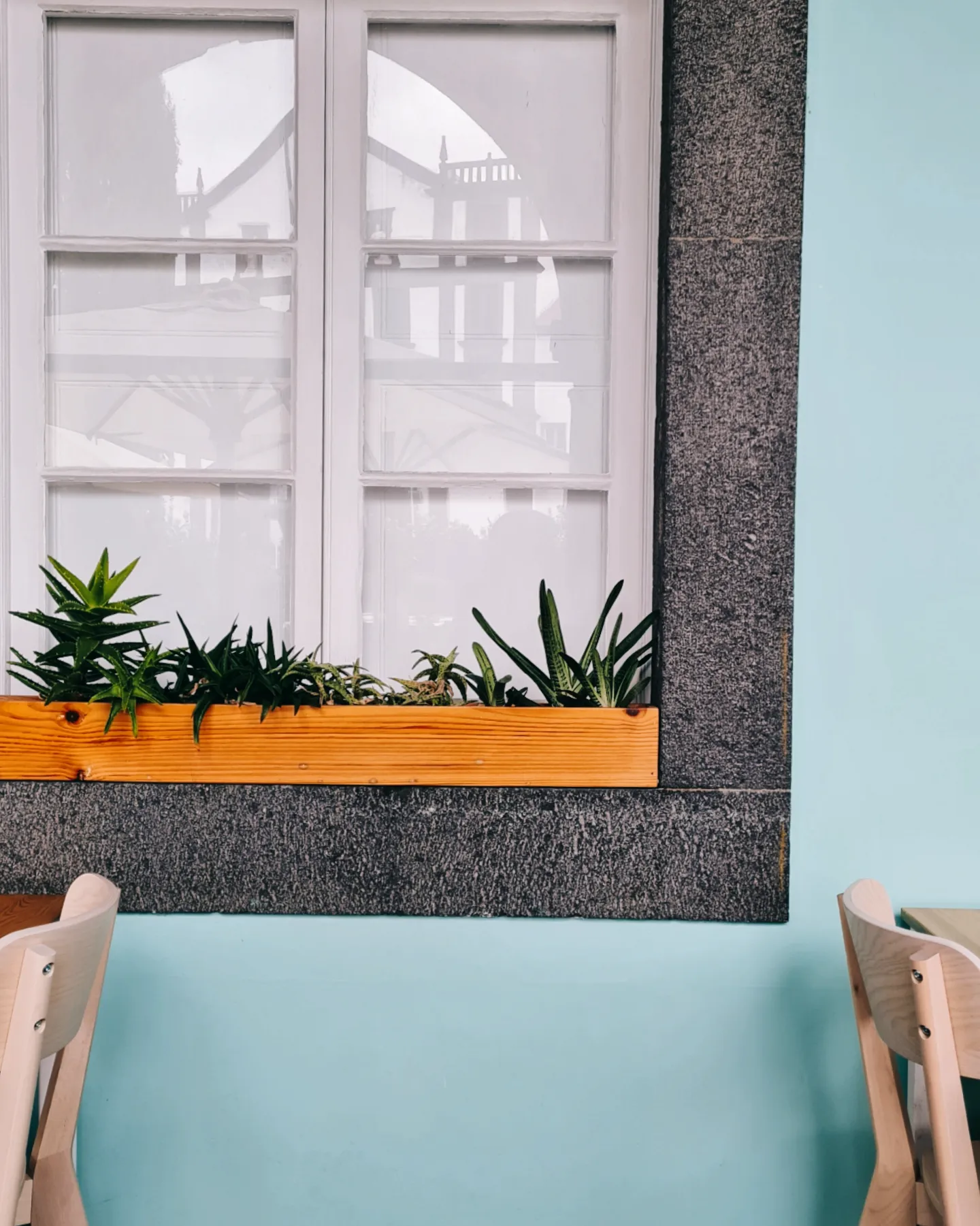 Cafe window with planter