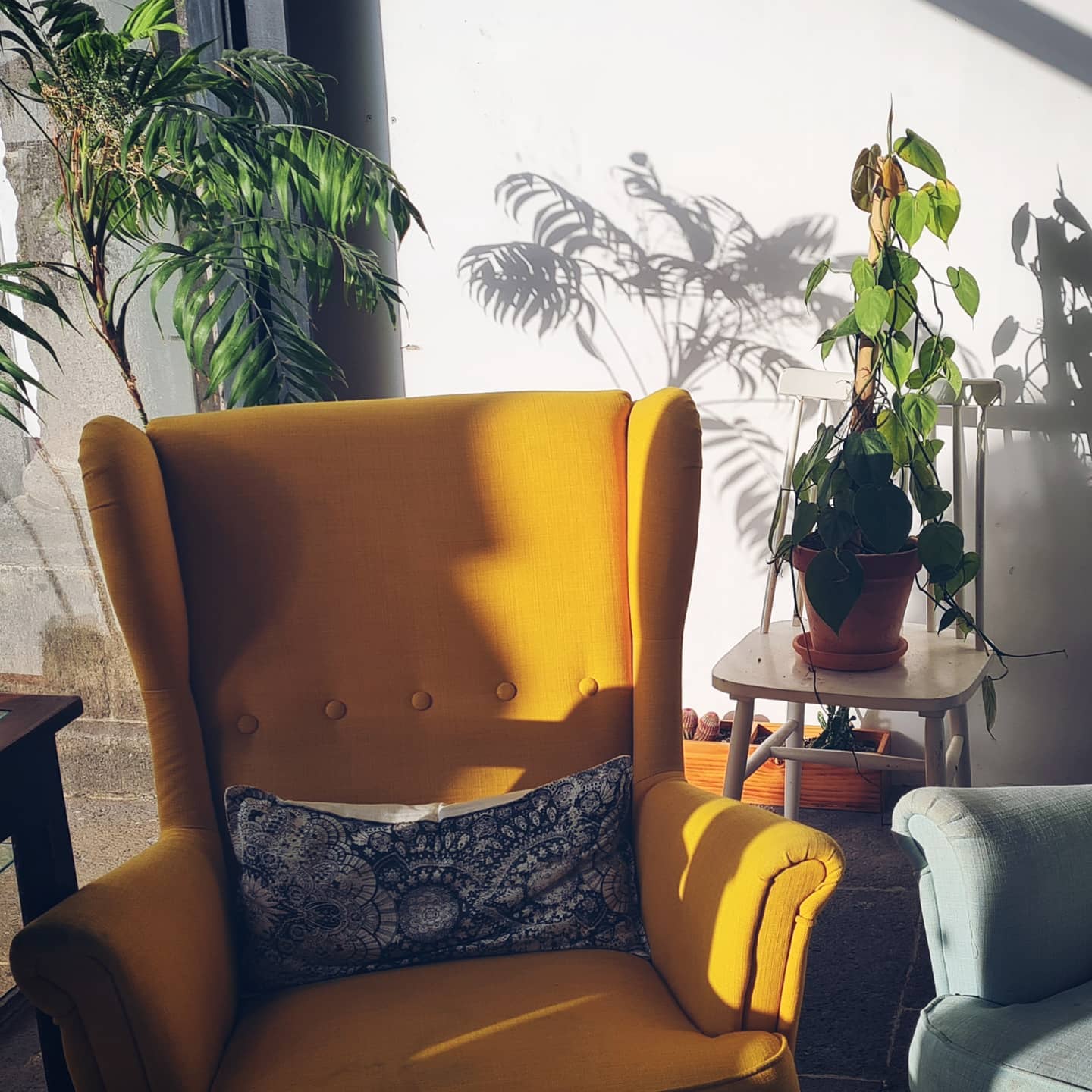 Yellow armchair with plants