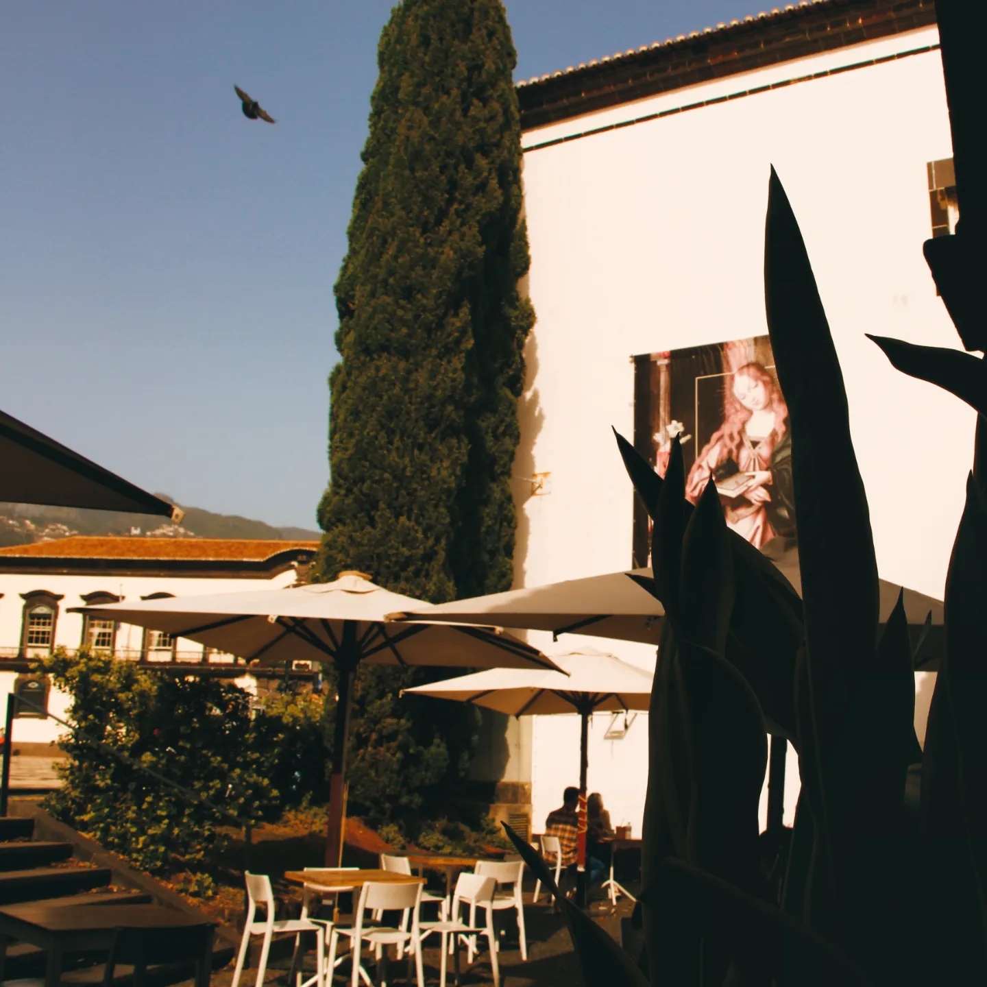 Museum cafe patio in Madeira